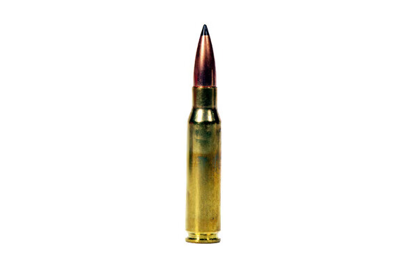 VELO AMMUNITION Custom Big Game Ammunitions 308 Win 168Gr Ballistic Tip Solid Copper 20rd